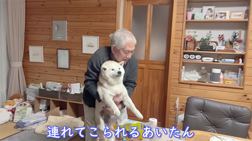 連れてこられる