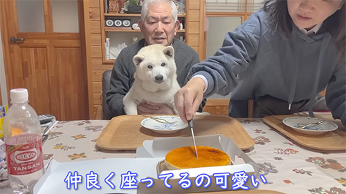 仲良く座ってる