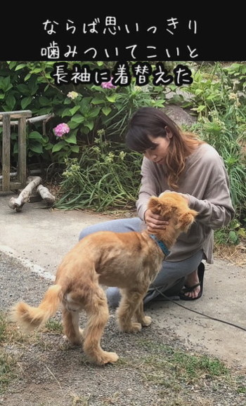 ならば思い切りテロップ