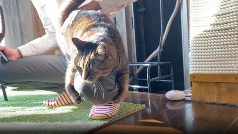 ヒザに抱きつく左見てる