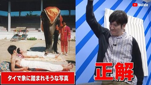 象に踏まれかけた「ココリコ」遠藤章造