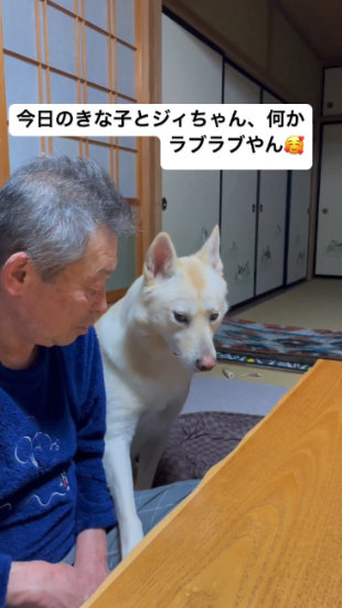 手を乗せる犬