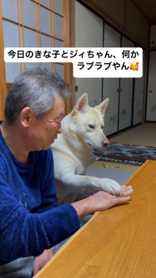 手を重ねる犬