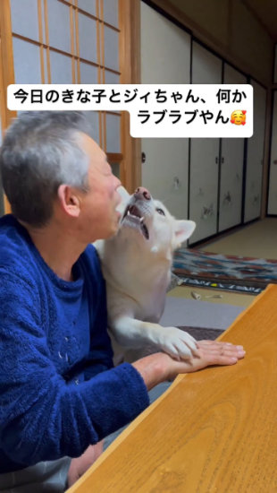 まねする犬