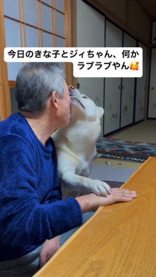 吸いあう犬