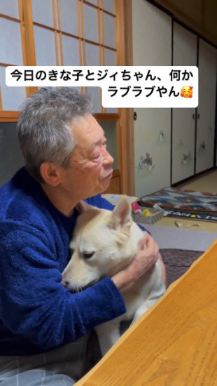 抱かれる犬