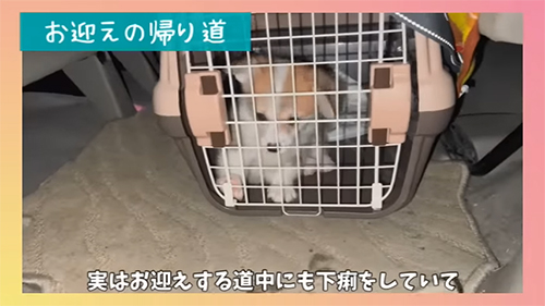 実はお迎えする道中