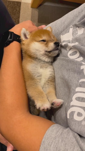 あんよをゆらゆら