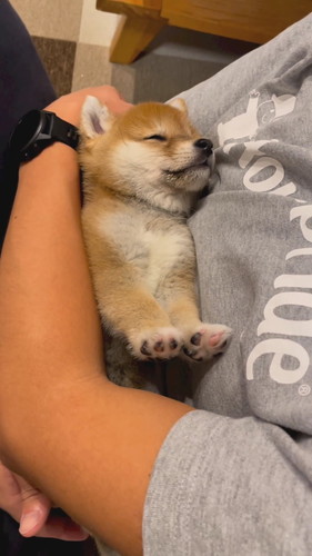 目を開けますが……