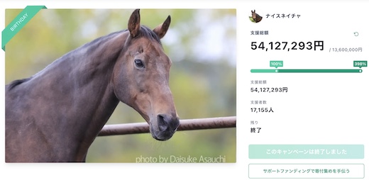 引退馬 競走馬 ナイスネイチャ バースデードネーション