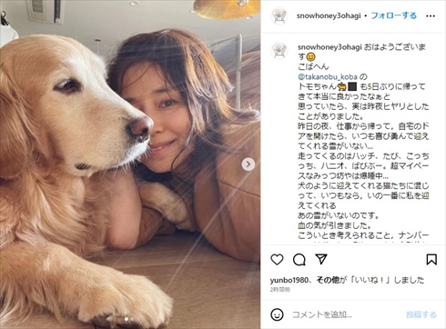 石田ゆり子と愛犬・雪の2ショット