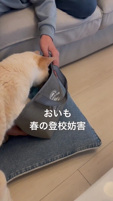 おいも