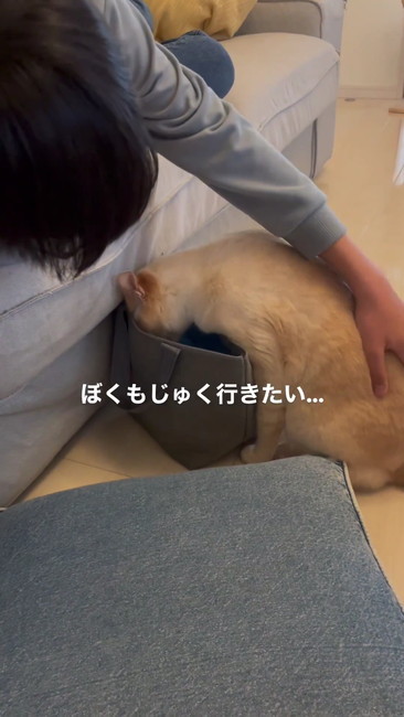 ぼくもいきたい