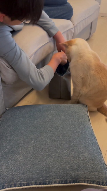 チャック閉められた