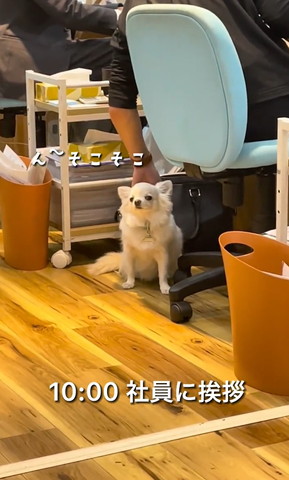 社員にあいさつテロップ