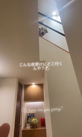 こんな夜更けにどこ行くんやテロップ