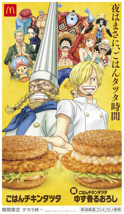 チキンタツタ×ONE PIECE17