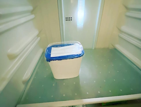 パインアメヨーグルト