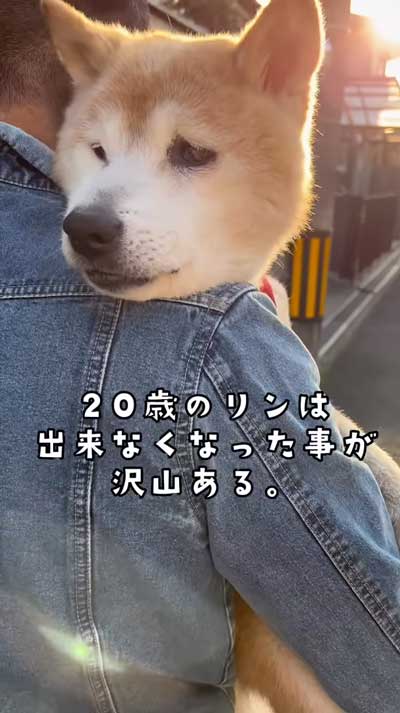 オススメ