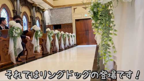 ドキドキワンコ