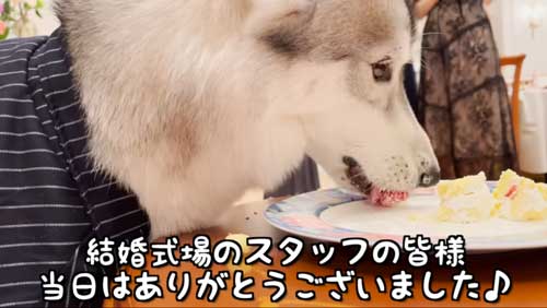 満足そうなワンコ