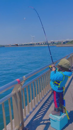 フグをなだめ落ちつかせるなな坊くん