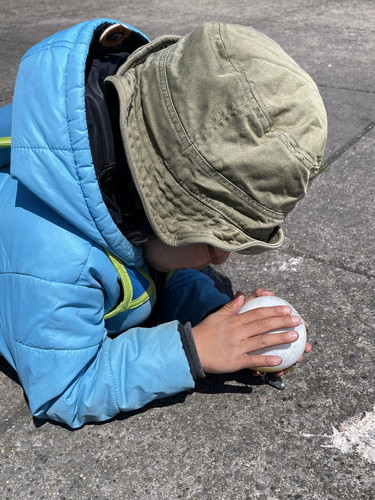 フグをなだめ落ちつかせるなな坊くん