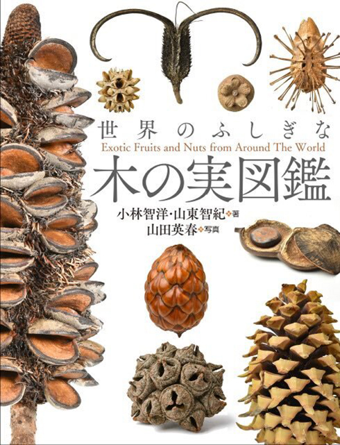 「世界のふしぎな木の実図鑑」