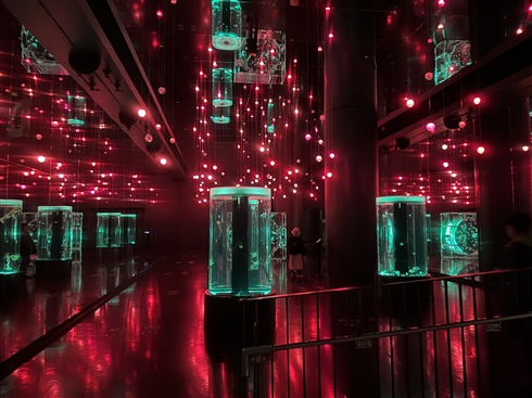 アクアパーク品川