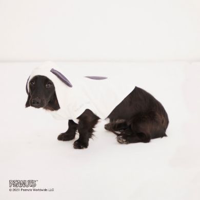 犬・猫用のパイルフーディー（4400円）