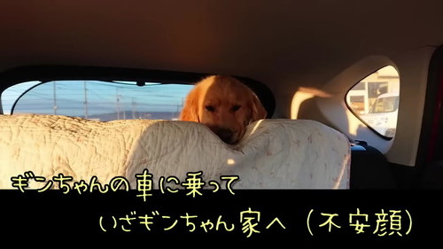 車