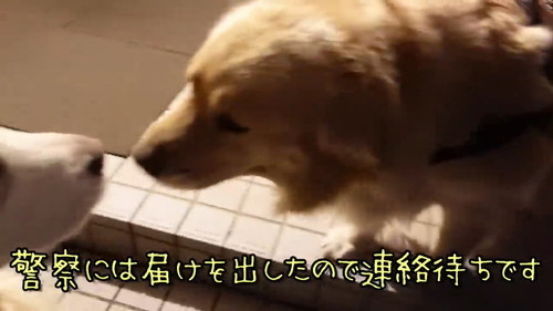 連絡待ち