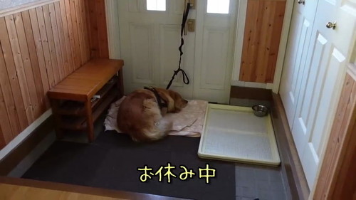 お休み