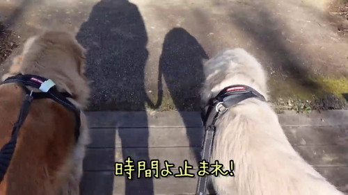 時間よ止まれ