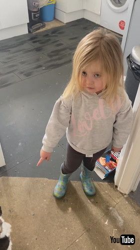 「Dog Definitely Made Those Handprints || ViralHog」