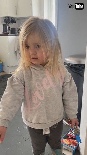 「Dog Definitely Made Those Handprints || ViralHog」