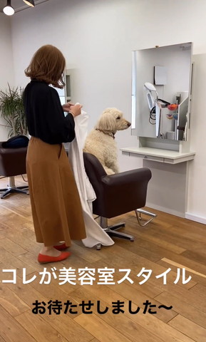 お待たせしましたテロップ