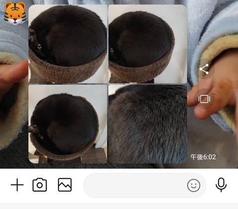 ラインの画面