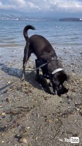 The Uncooperative Sand