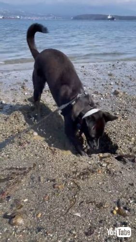 The Uncooperative Sand