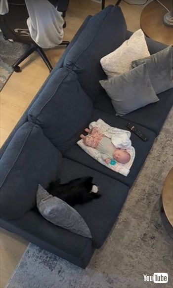 赤ちゃんに興味を示したワンコ