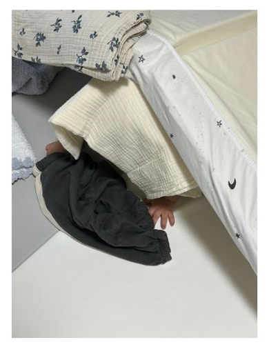 才賀紀左衛門の息子