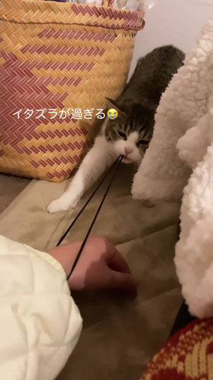 伸ばし続けるツルちゃん