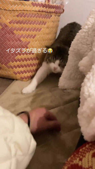 ヘアゴムを離すツルちゃん