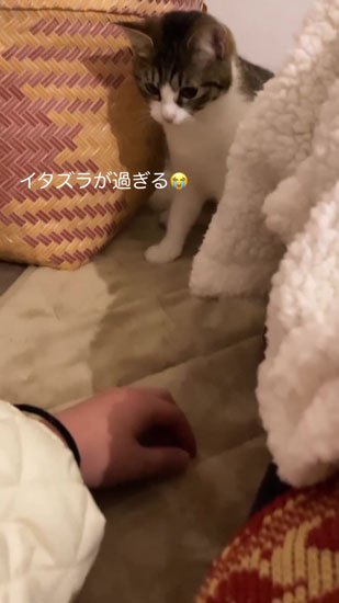 ジッと見つめるツルちゃん