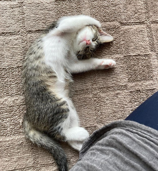 眠るツルちゃん