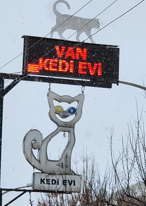 ヴァン猫モチーフその1