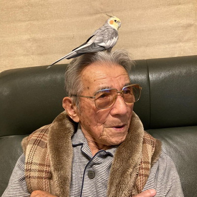 頭に乗るインコ