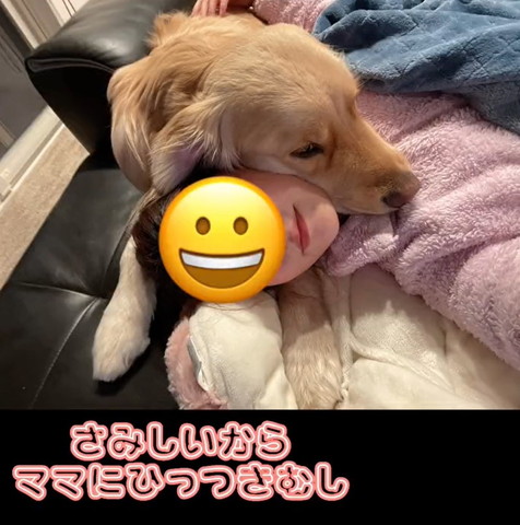 さみしいからママにひっつきむしテロップ