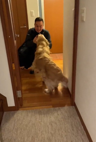 パパをお出迎えするワンコ
